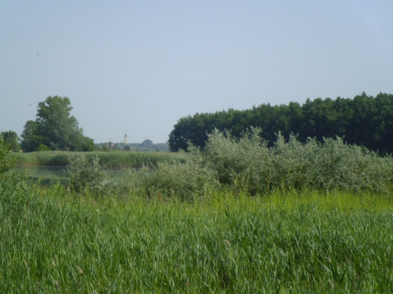 12.07.05. Konyhakert, betakarítás, gólya 109