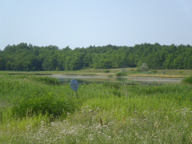 12.07.05. Konyhakert, betakarítás, gólya 128