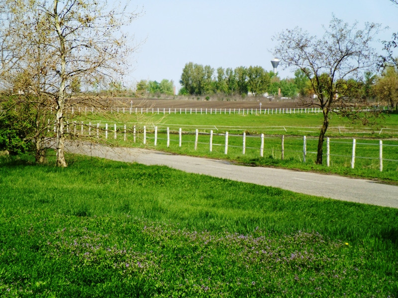 12.04.23. A Föld Napja Bajmoki út... 073