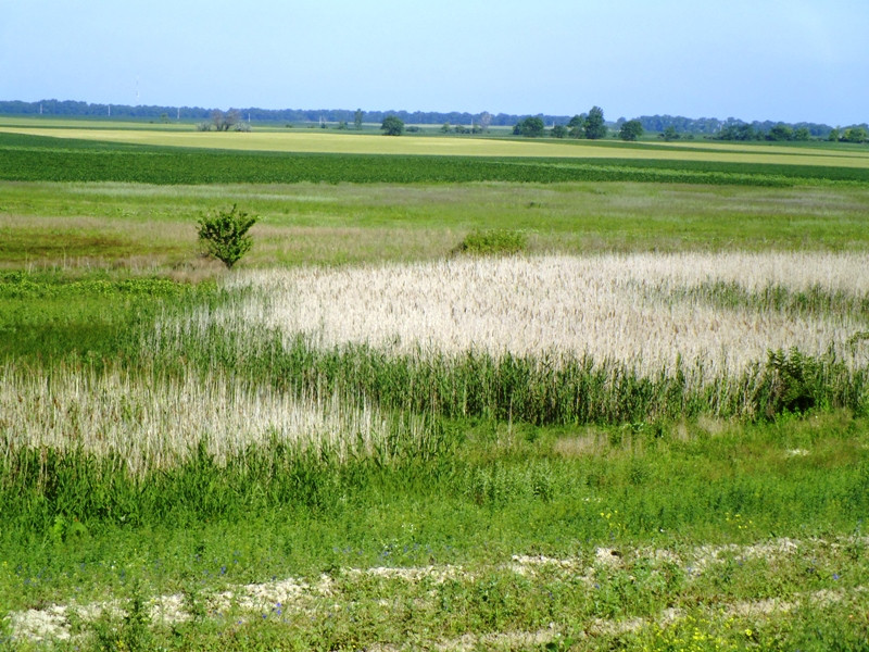 12.06.06. Kígyós - víztározó 057