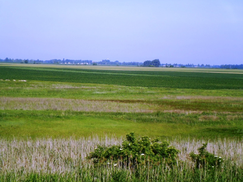 12.06.06. Kígyós - víztározó 064