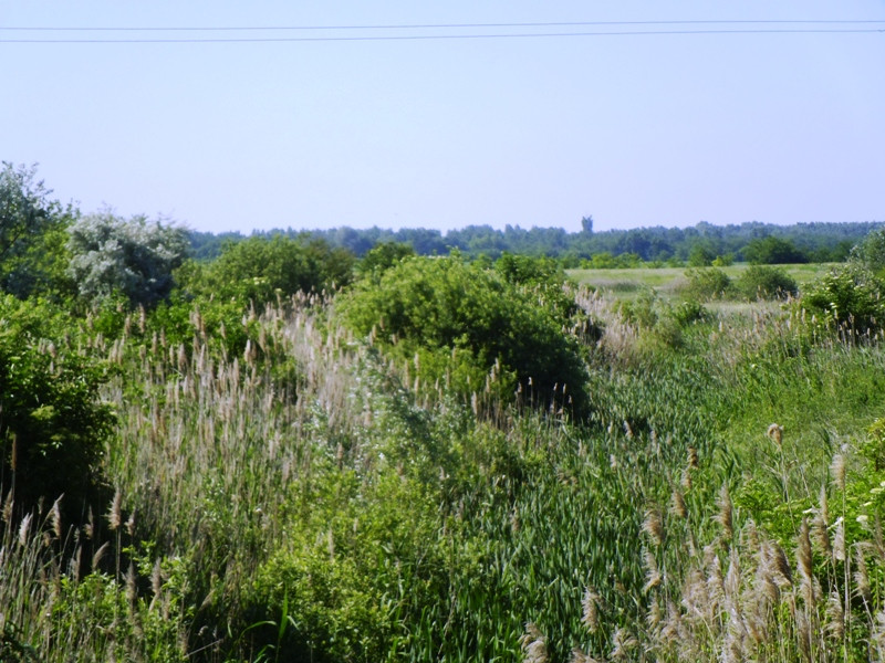 12.06.06. Kígyós - víztározó 118