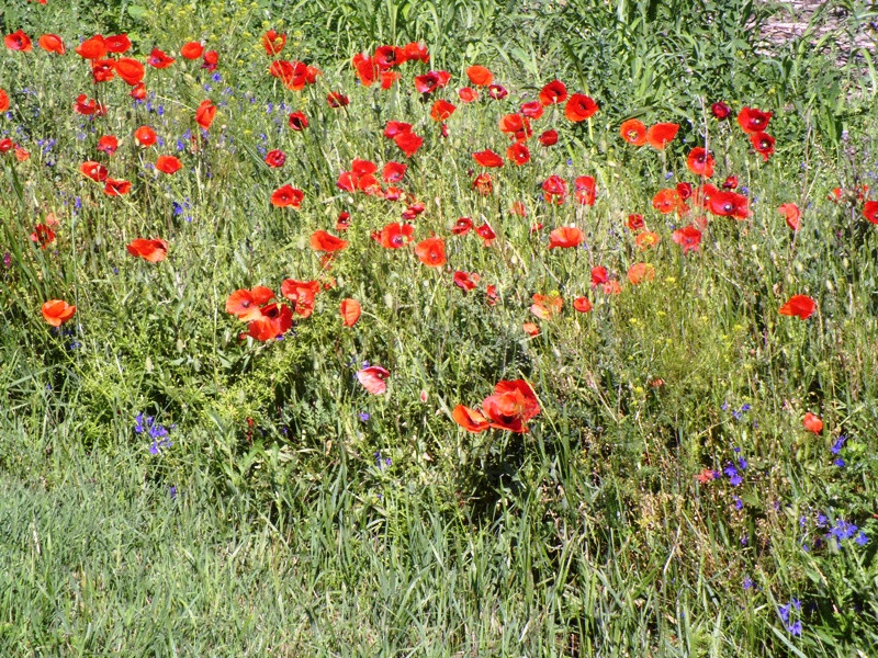 12.06.06. Kígyós - víztározó 121