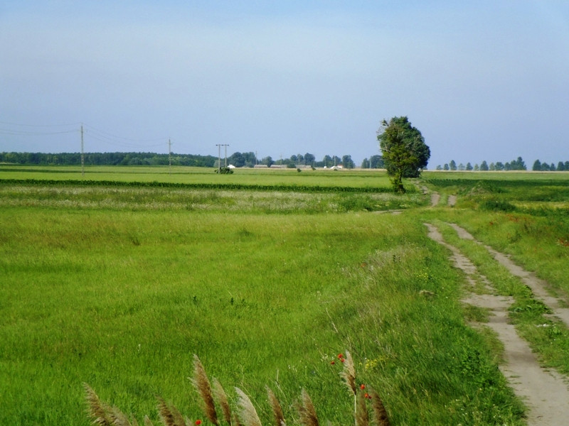 12.06.06. Kígyós - víztározó 138