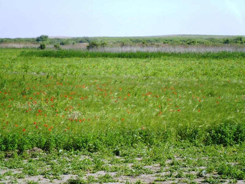 12.06.06. Kígyós - víztározó 148