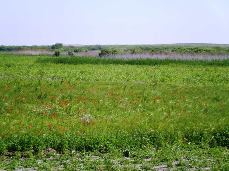 12.06.06. Kígyós - víztározó 149