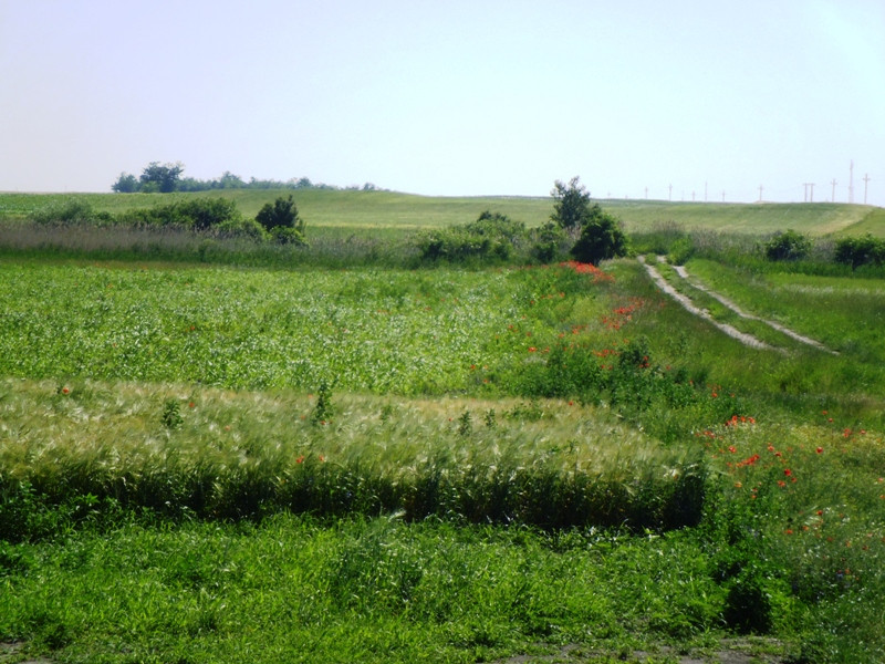 12.06.06. Kígyós - víztározó 150