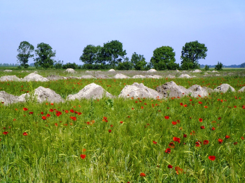 12.06.06. Kígyós - víztározó 154