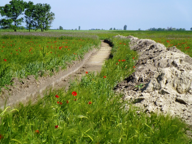 12.06.06. Kígyós - víztározó 157