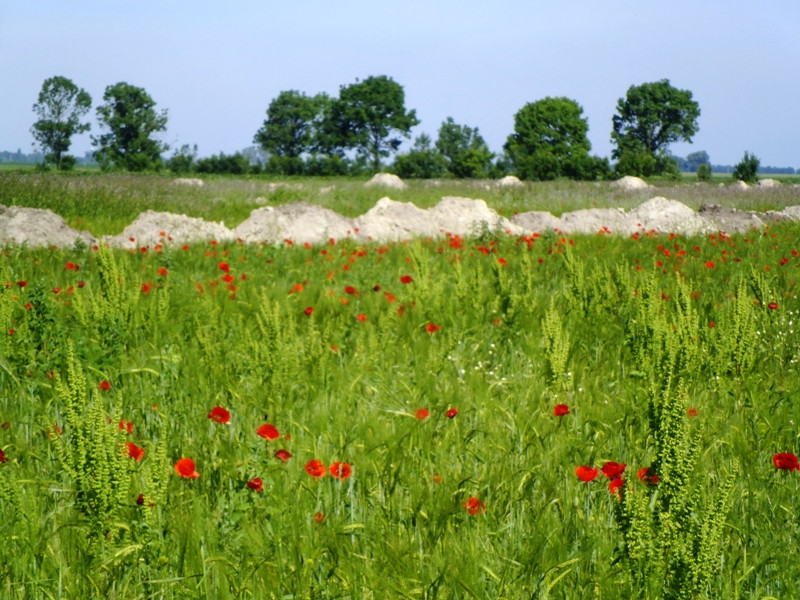 12.06.06. Kígyós - víztározó 158