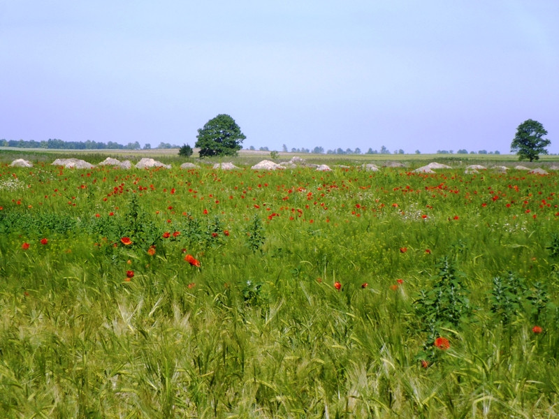 12.06.06. Kígyós - víztározó 183