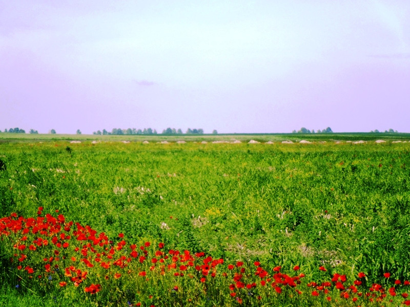 12.06.06. Kígyós - víztározó 194