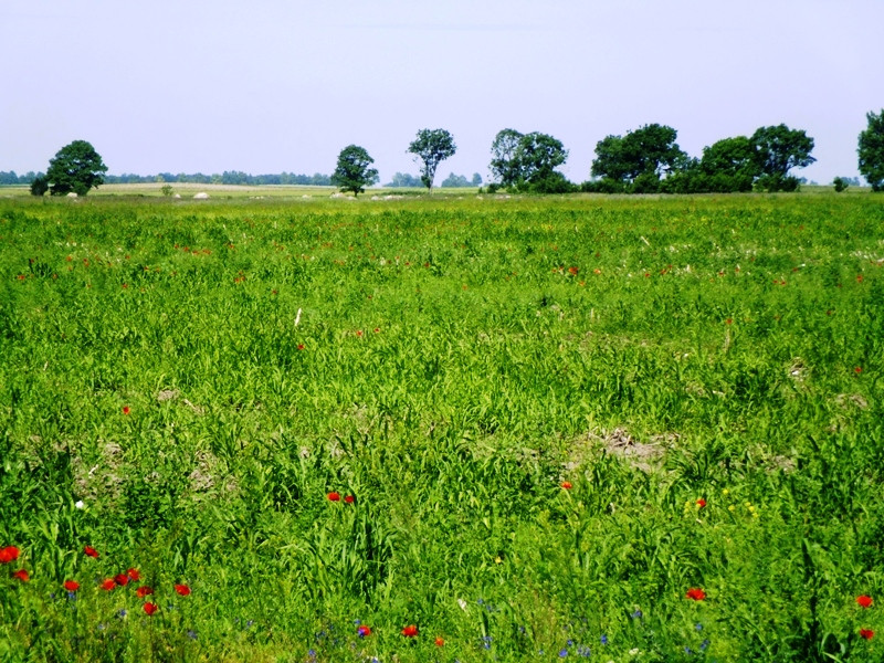 12.06.06. Kígyós - víztározó 195