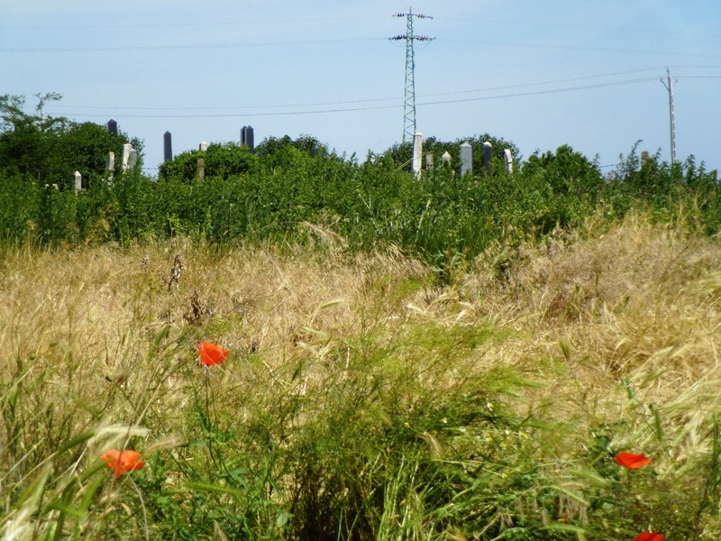 12.06.06. Kígyós - víztározó 260