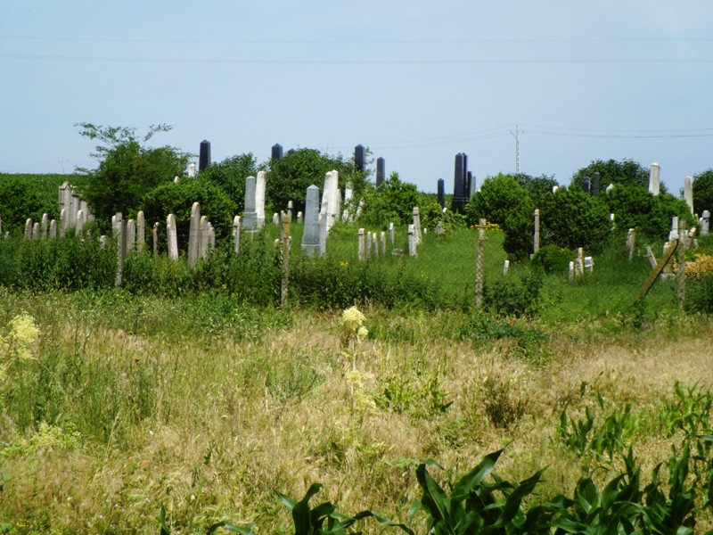 12.06.06. Kígyós - víztározó 262