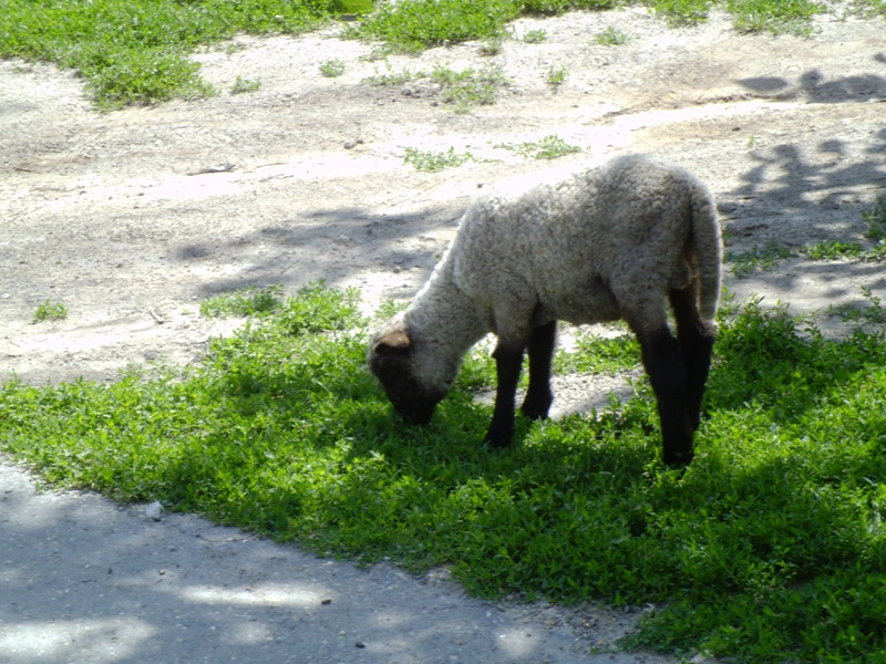 12.06.06. Kígyós - víztározó 266