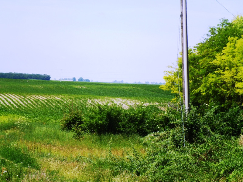 12.06.06. Kígyós - víztározó 270