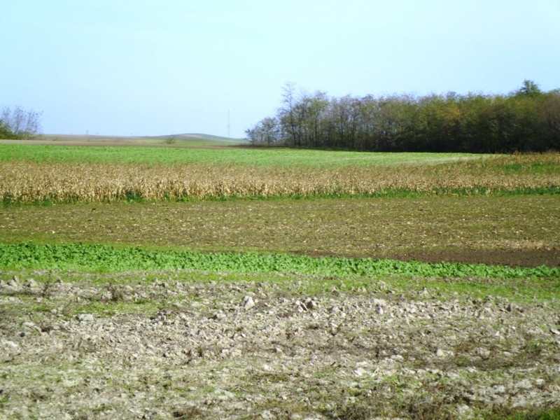 13.10.31. Kígyós-víztározó 4 068