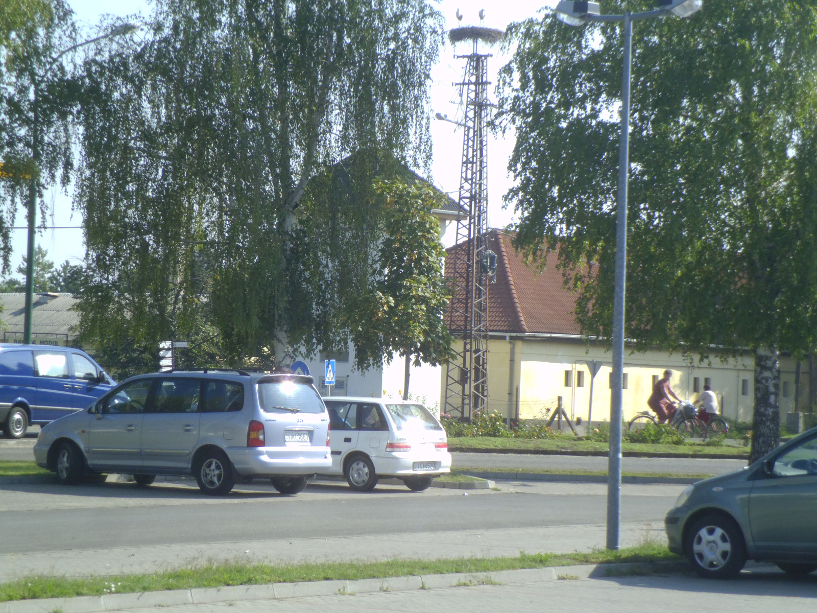 12.07.31. Sós-tó és BácskaModul fenyők... 051