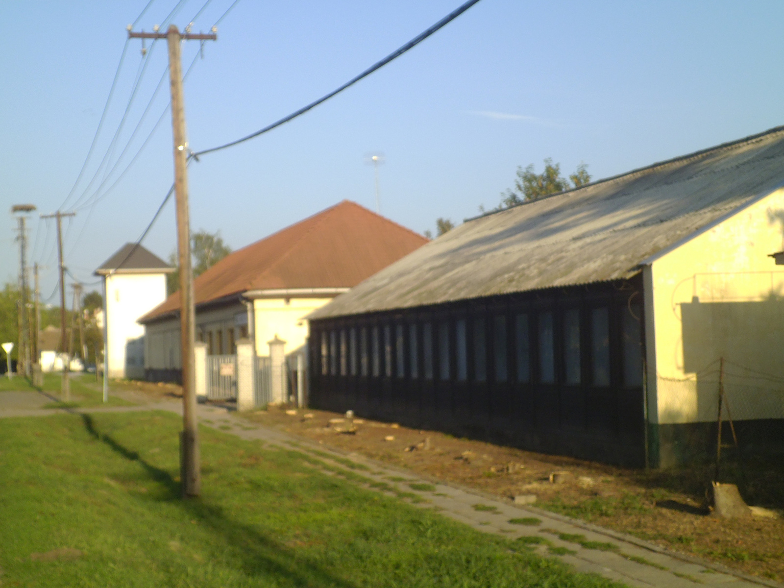 12.07.31. Sós-tó és BácskaModul fenyők... 072