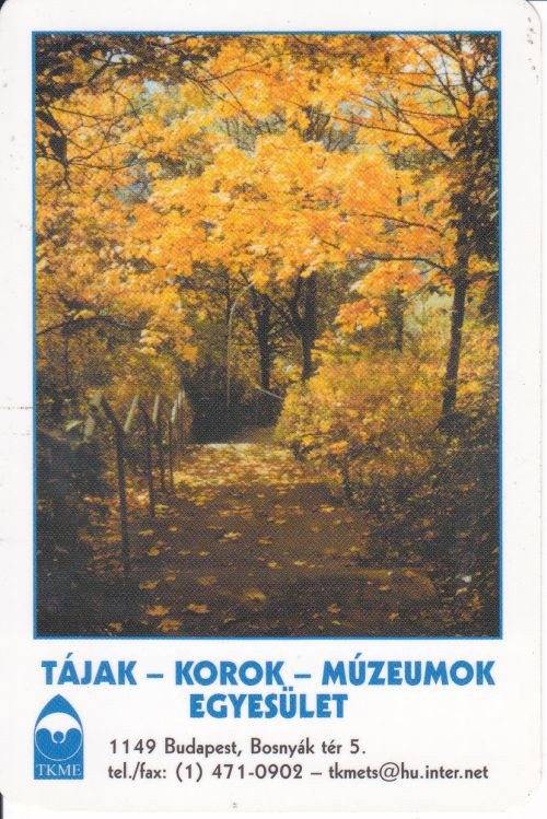 2006 - Kártyanaptár-Card Calendar 0003