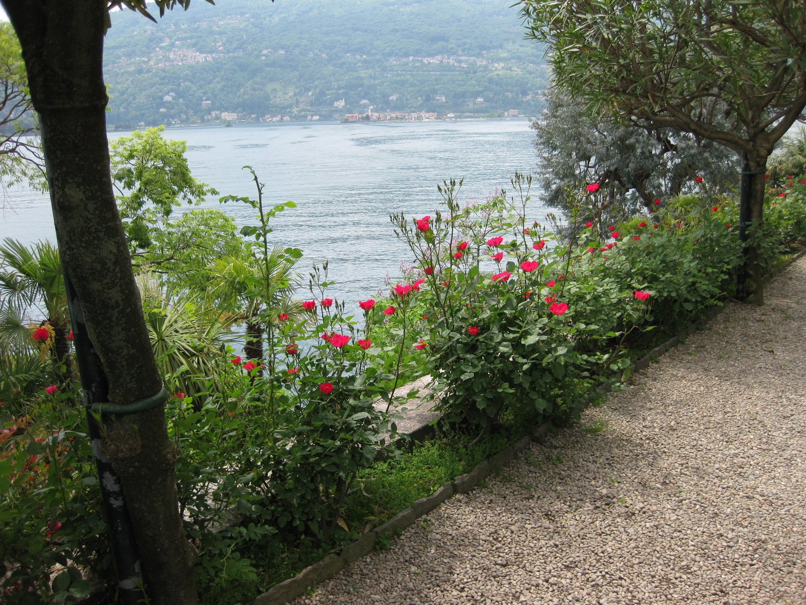 Lago Maggiore 157