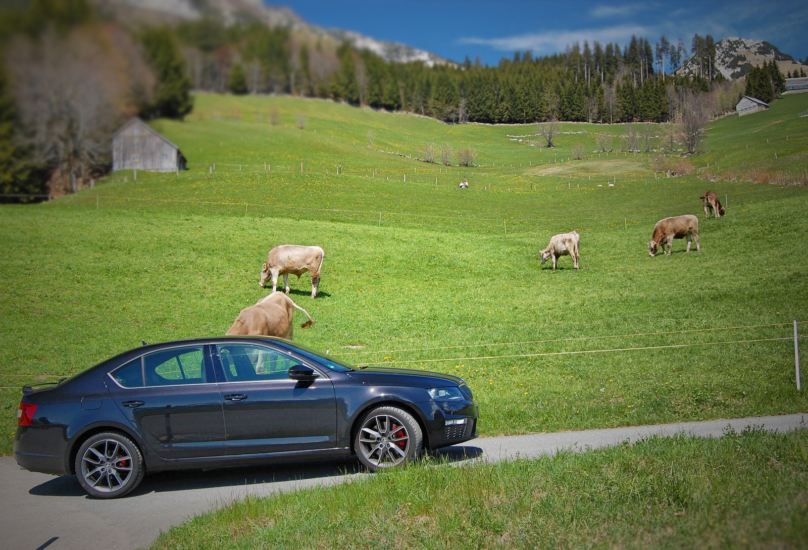 Skoda Octavia RS TSI 2.0