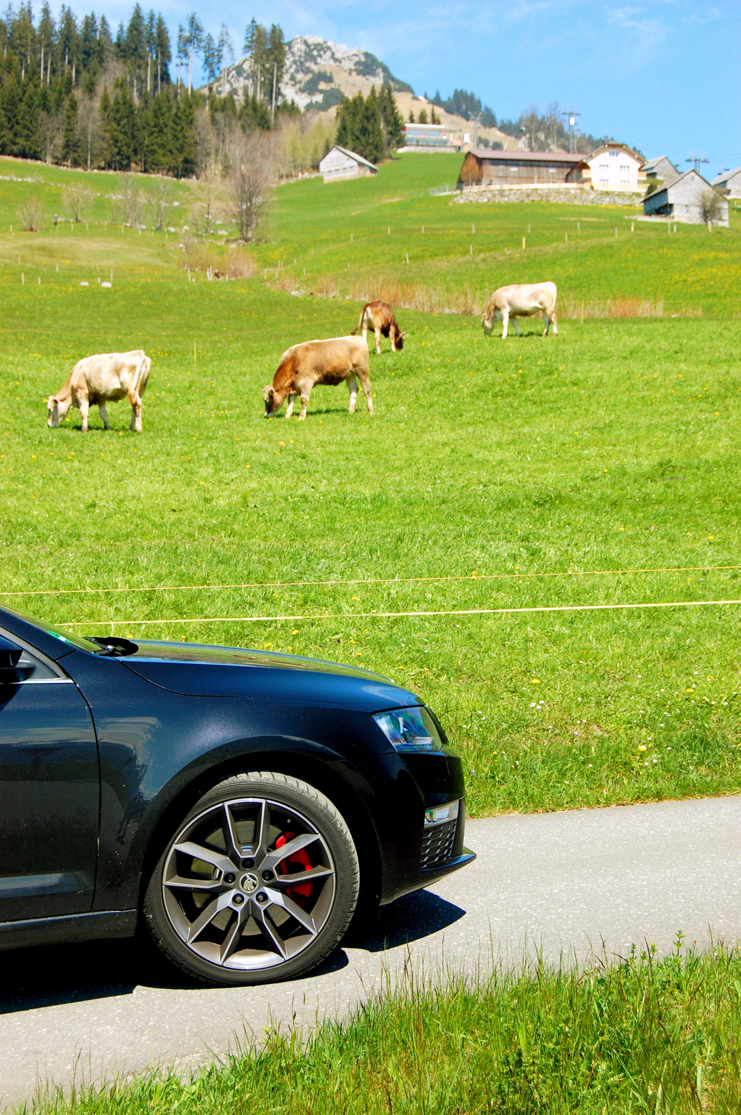 Skoda Octavia RS TSI 2.0