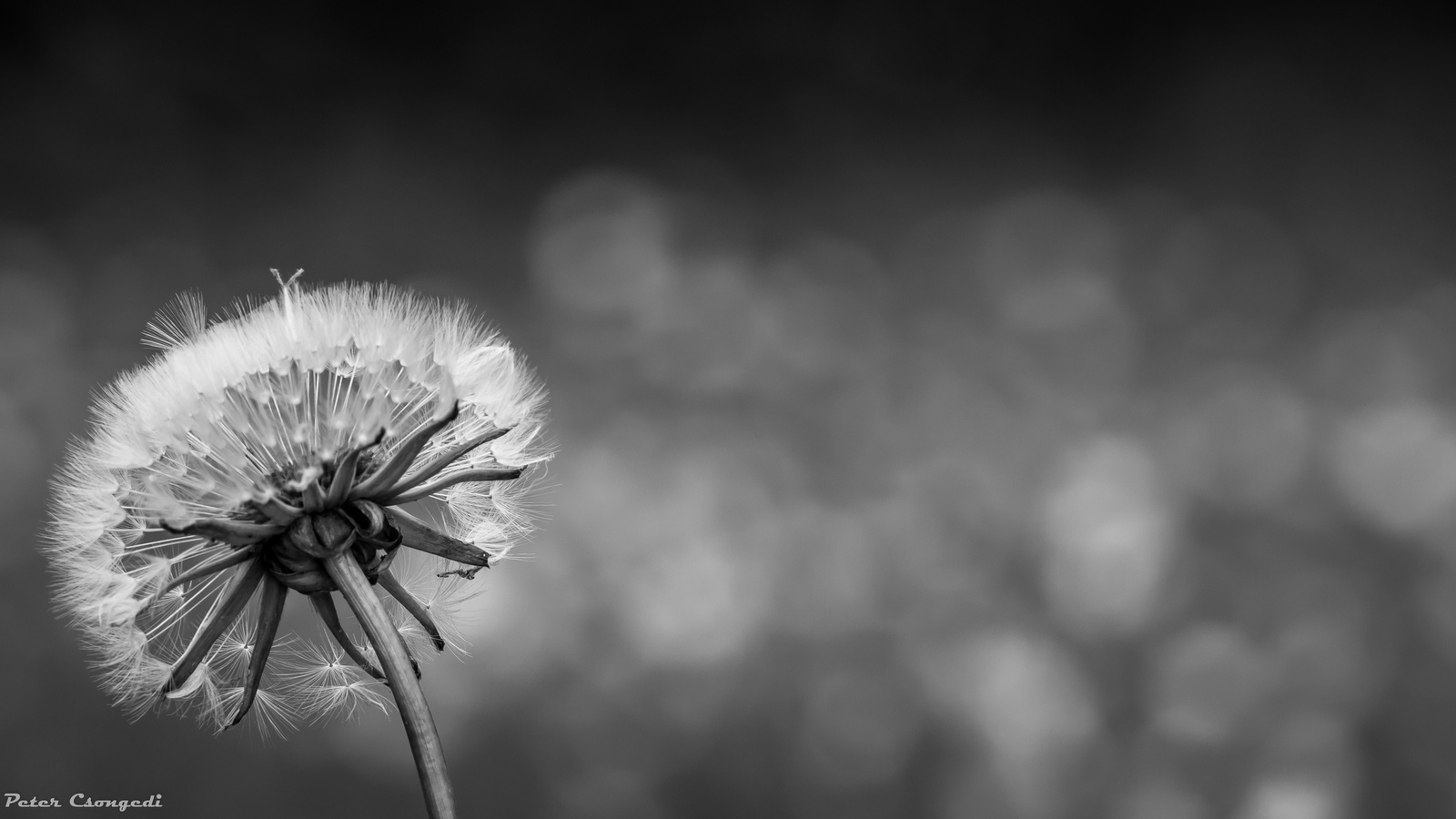 Alone in the crowd