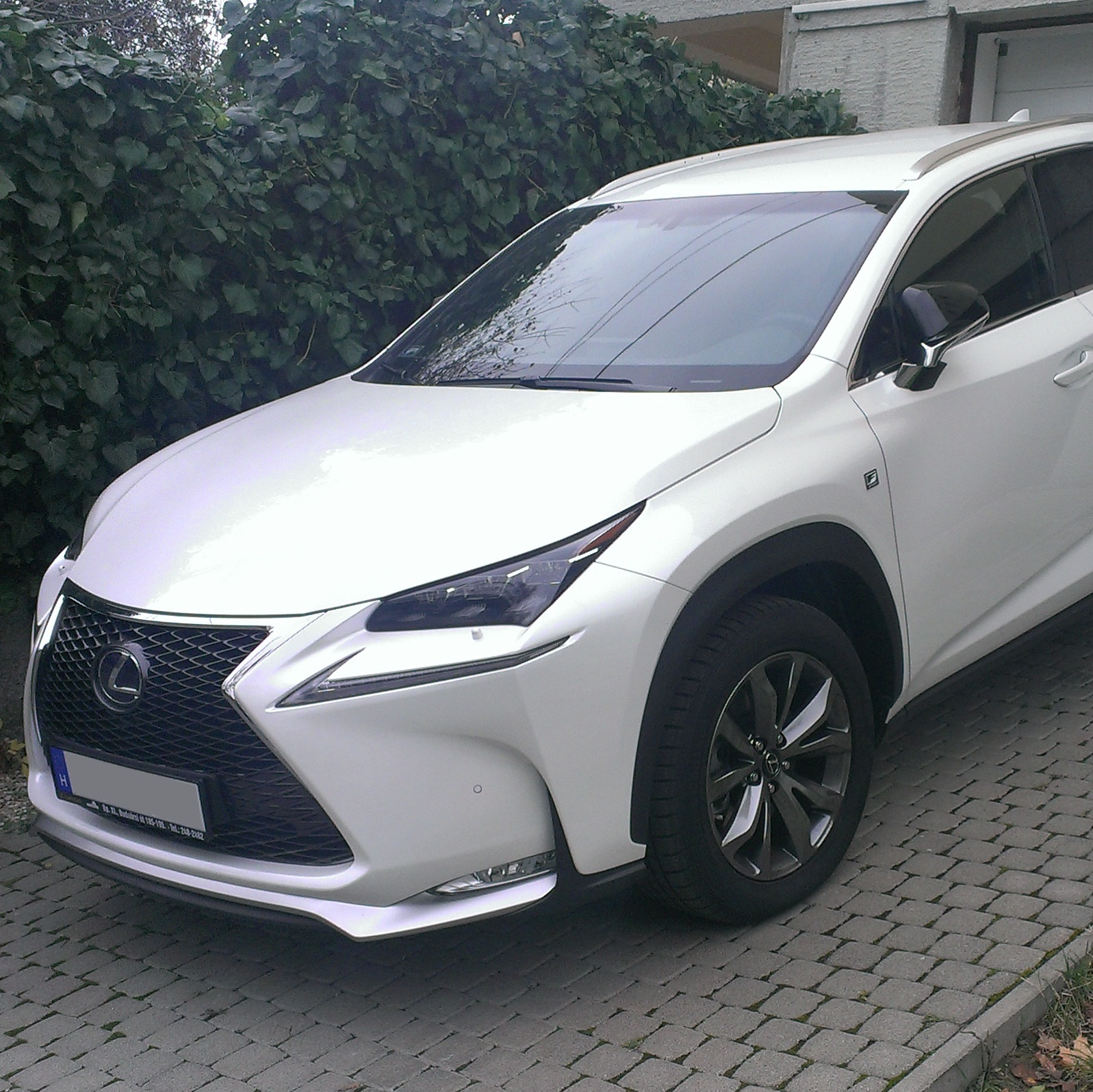 Lexus NX300h F-Sport