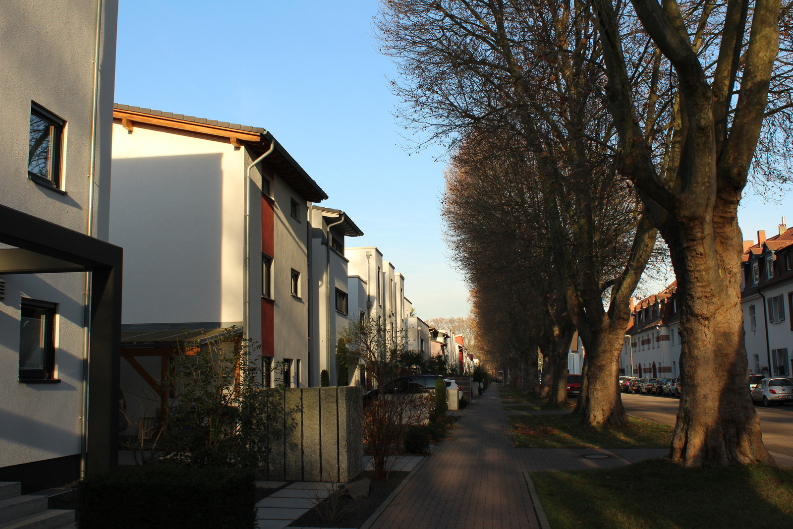 Késő ősz a ludwigshafeni Parkinsel-en