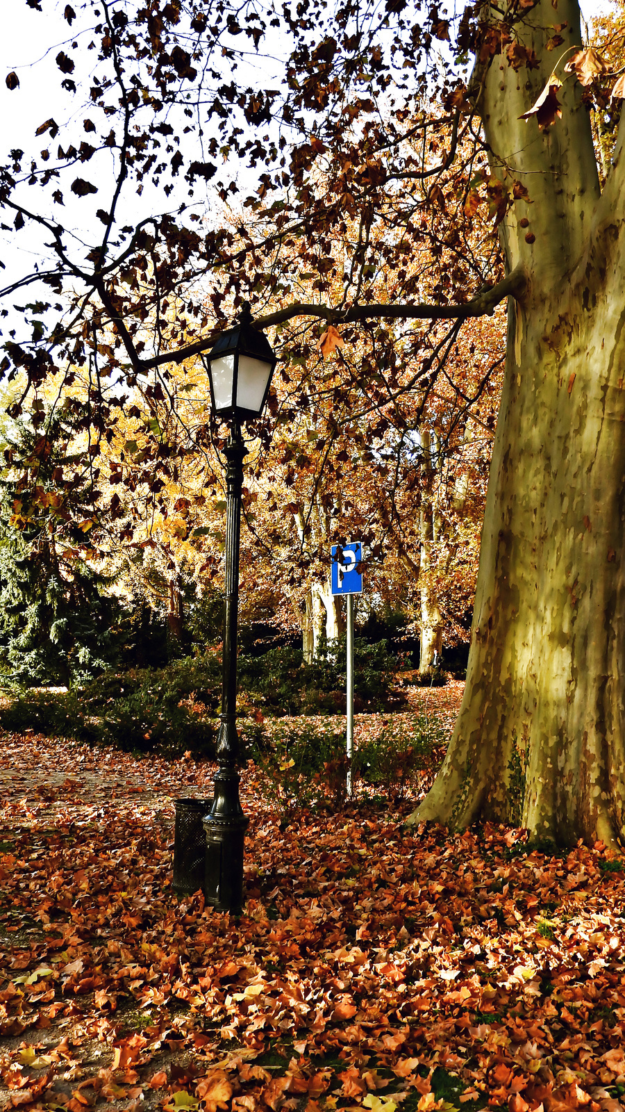 Utcai lámpa és az ősz