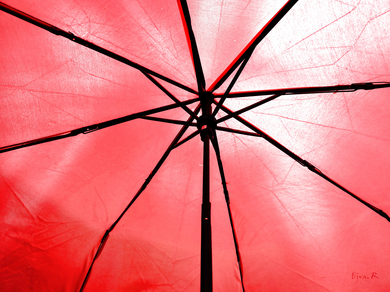 Egy vacak piros esernyő