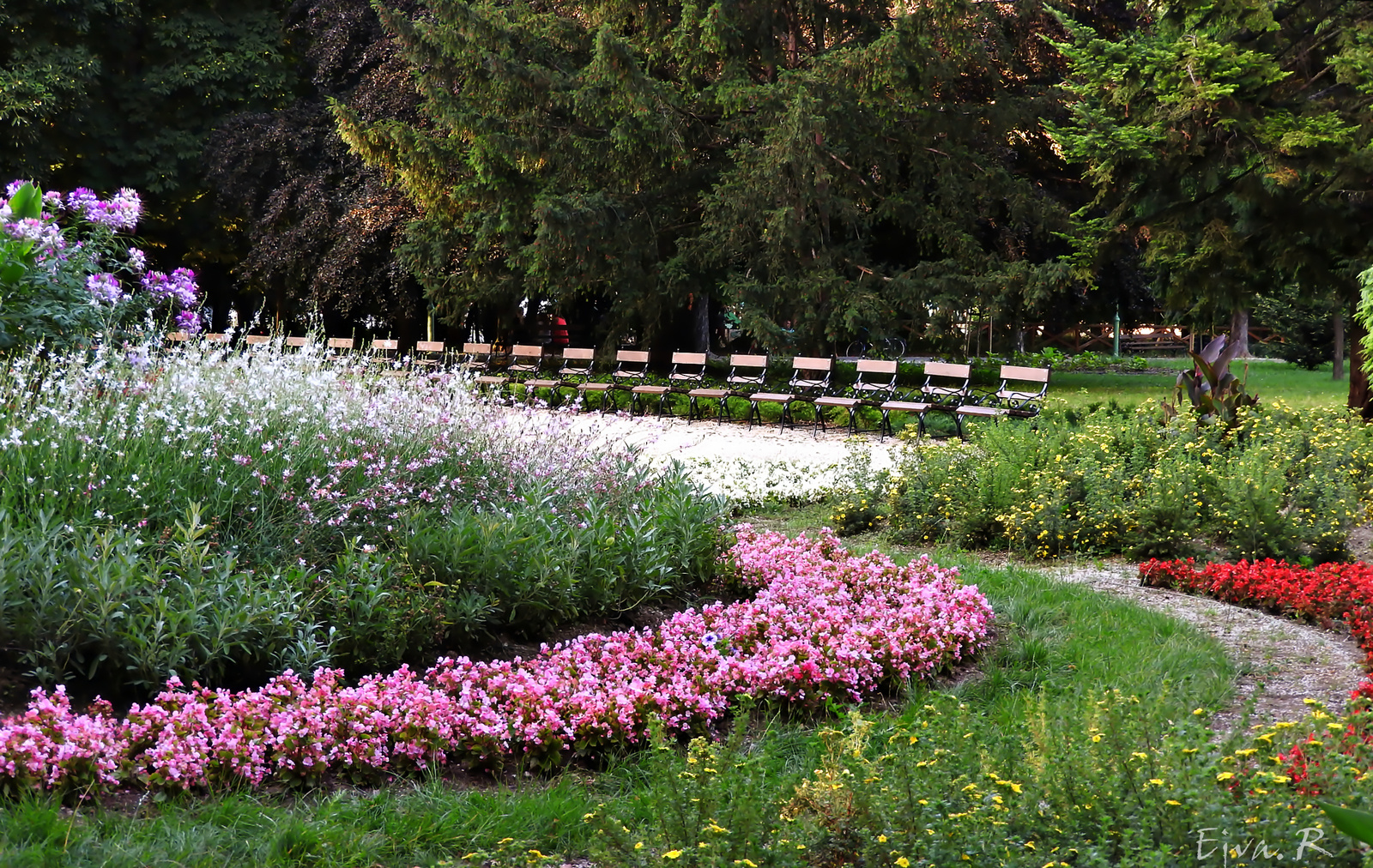 Park Virágok Nyár