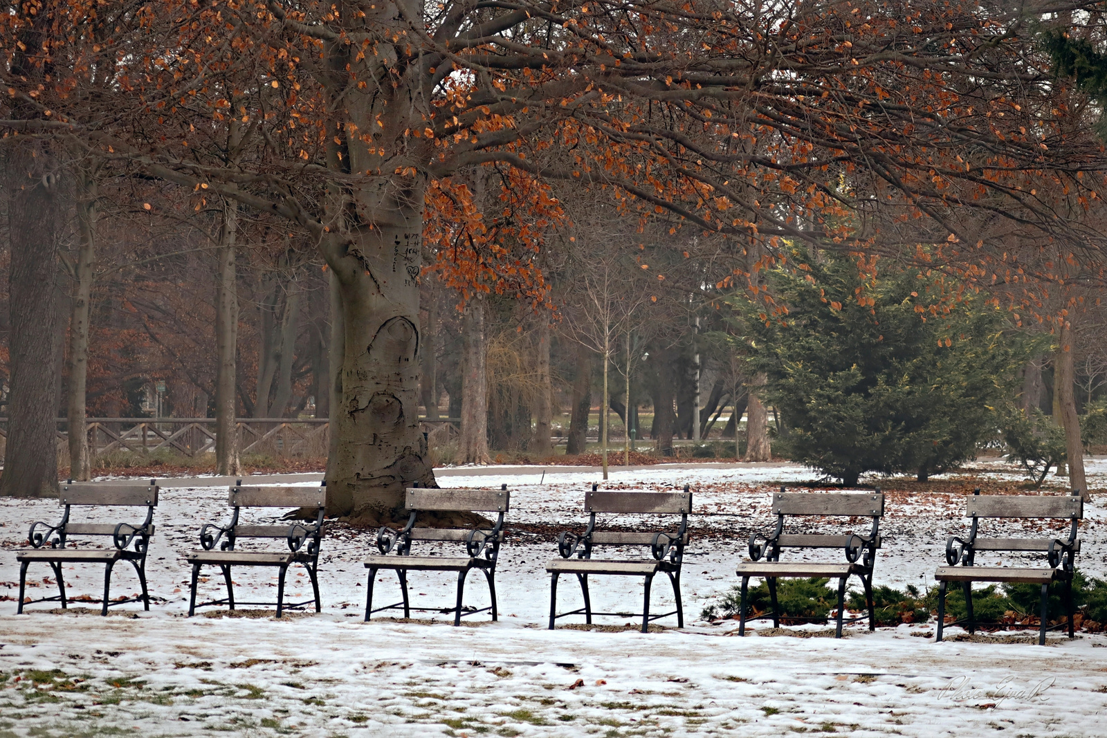 Sopron Erzsébet kert Tél
