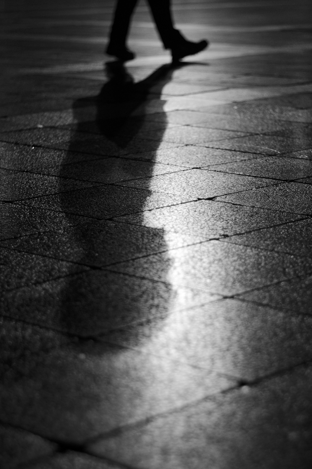 lépések, - a fény és árnyék kettőssége, 2014, Edit Szabo