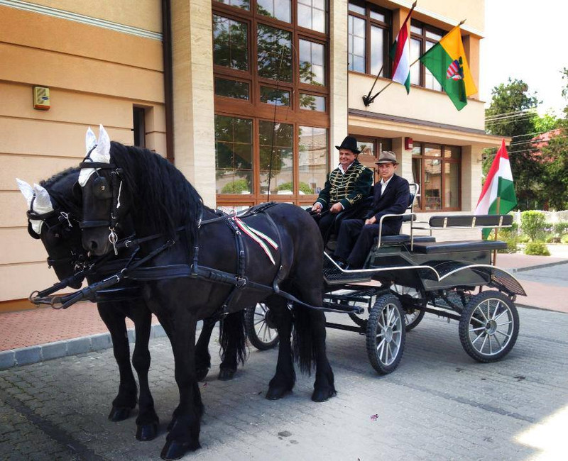 Életkép a városháza elöl