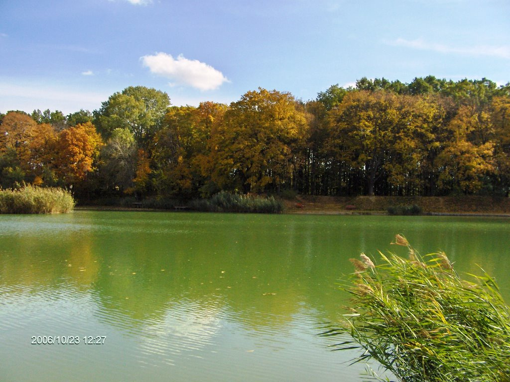 Gyömrő Tó-strand