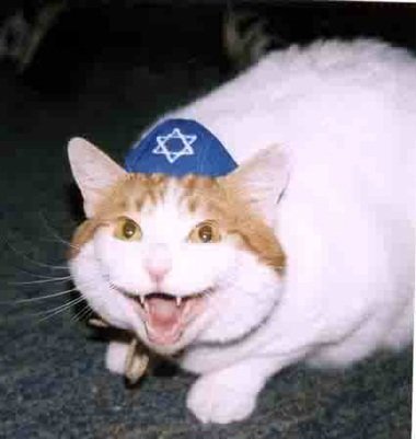 jewish008