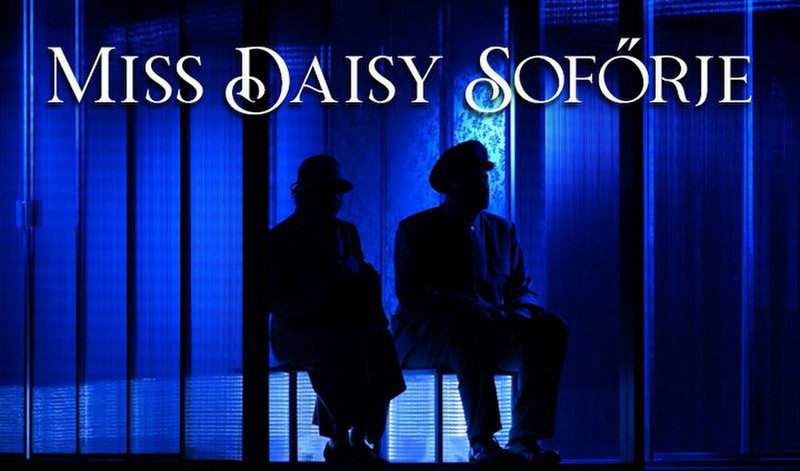 daisy8
