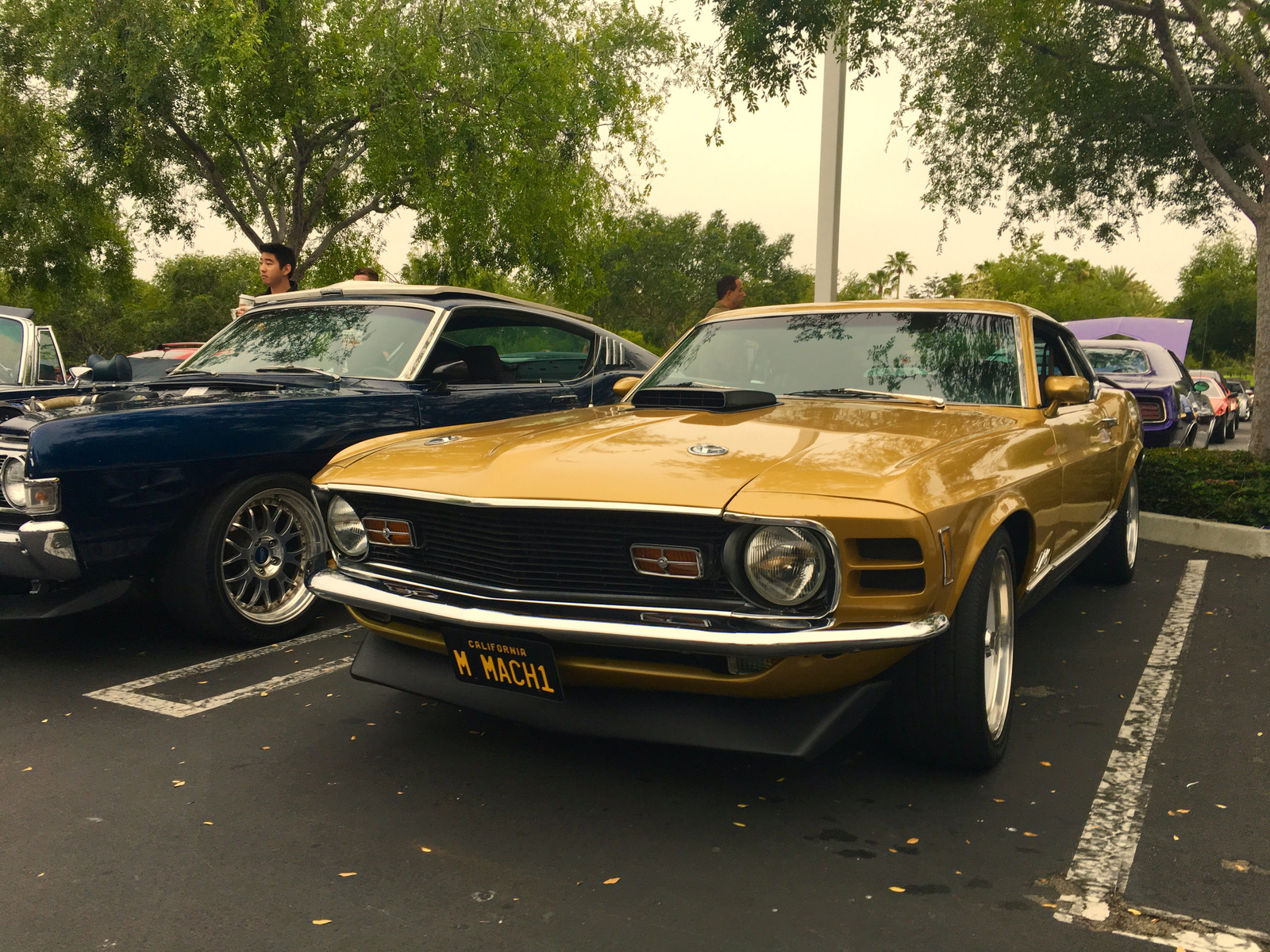 Ford Mustang Mach 1