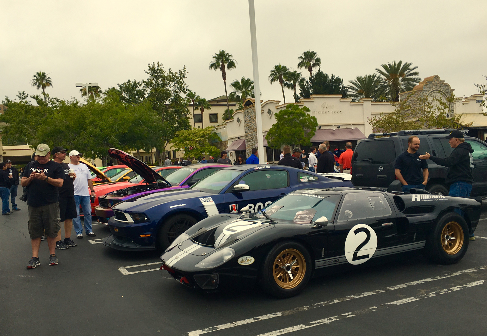 Ford GT40 and Mustangs