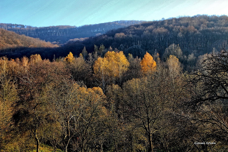 Hosszúhetény, Püspökszentlászló(6) átméretezve