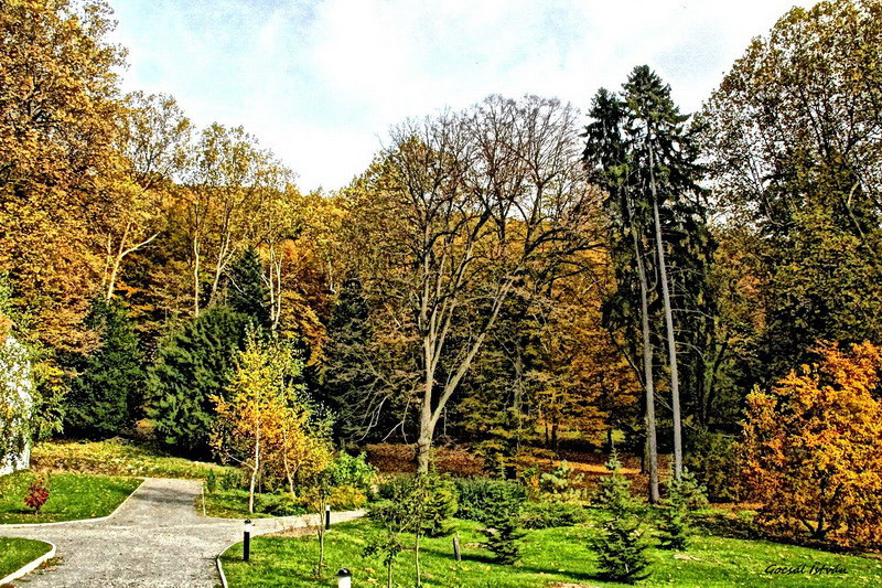 Hosszúhetény, Püspökszentlászló, arborétum