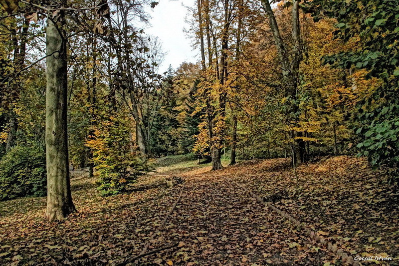 Hosszúhetény, Püspökszentlászló, arborétum(12) átméretezve