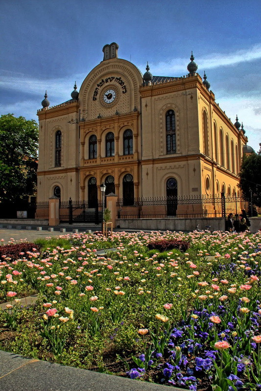 Pécs, Zsinagóga átméretezve