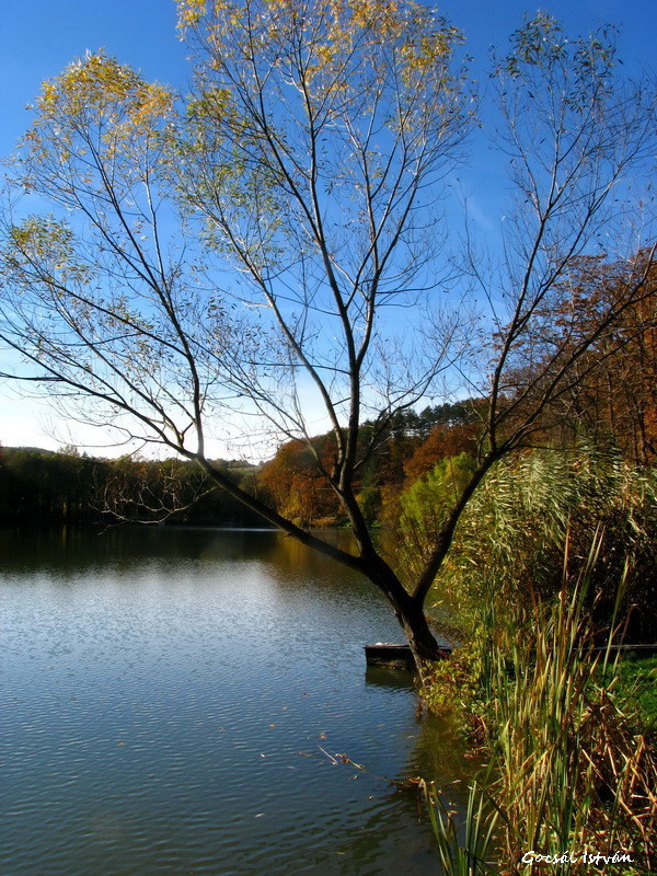 Sikondai tó