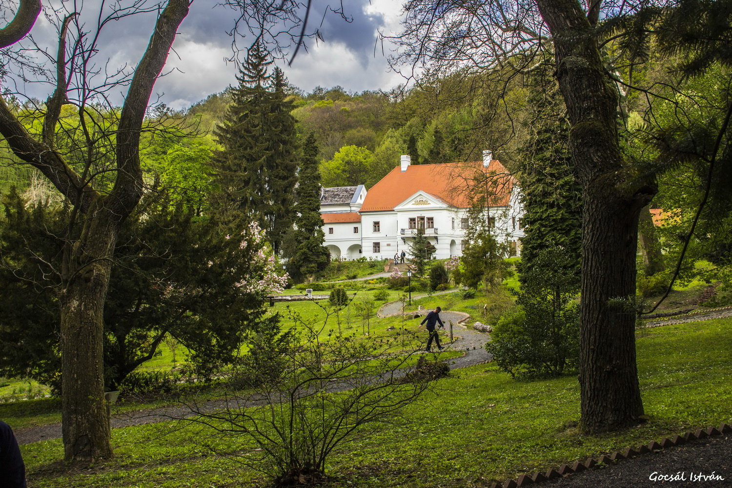 Hosszúhetény - Püspökszentlászló, arborétum