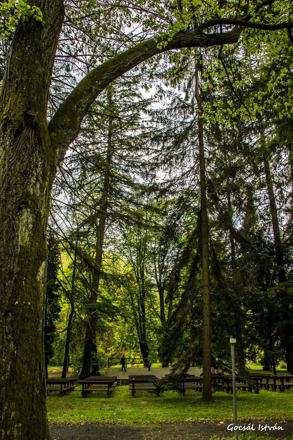 Arborétum, színpad-nézőtér - Püspökszentlászló