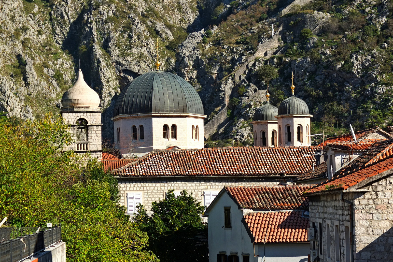 Kotor